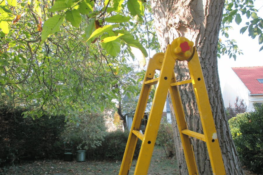 A folding metal ladder that can also be extended up to two stories.
